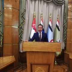 بهاء بكري