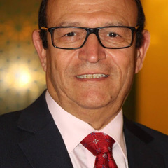 Hamdy Mohamed  Ellaithy