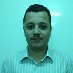 Emad Hamdi, Logistics Supervisor