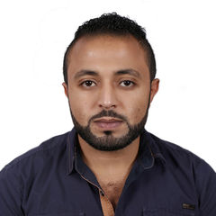 احمد  حسن , landscape project manager
