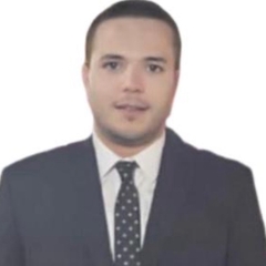 SHADY  MOHAMED , finance consultant