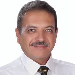 Walid Abu-Sara, Project Manager