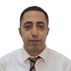 محمود توفيق, Senior Accountant
