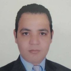 Alaa Hamed, مدير فرع