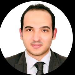 Ahmed Fakhry, Consultant/Product Manager/Analyst