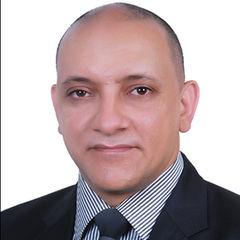 Hatem Samir Moursi El Harty, مدير مالى