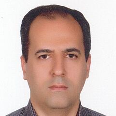 Mohammad Reza Boroumand, Senior IT Specialist