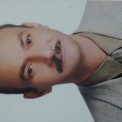 Ibrahim Mohamed Shaarawy Shaarawy, مدير مالى