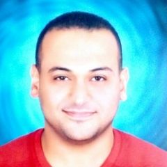Ahmed Adel Abdulmonem Elsawah, Site engineer