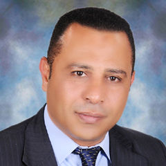 Yasser Gamil, مدير حسابات العمﻻء و الموردين