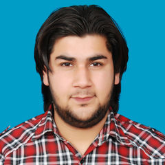 Muneeb Shabir Awan, Sub Engineer