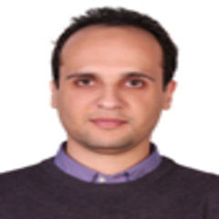 Ahmed Shimi, SAP Consultant \ Project Manager