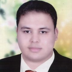 Mohamed Hesham Zaki ALSaid ALBakrawy, 