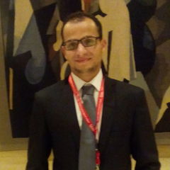 Mohamed Nasr AbdEl-Fadeel, Senior BI Developer