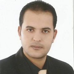 Muhamad Shouman, civil engineer