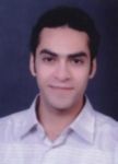 Mahmoud Ibraheem, Data Entry