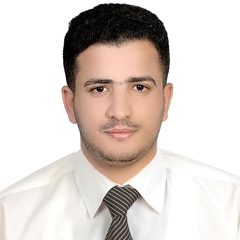 حمدي عبدالعزيز عون, Structural Civil Engineer