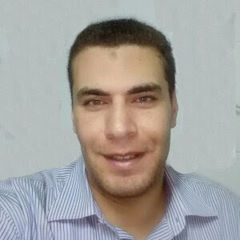 Omar Eladawy, accountant