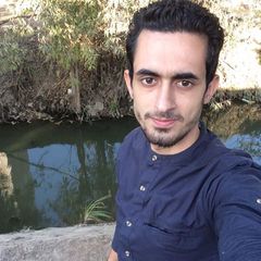 mostafa elshahawy