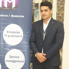amr zayed, consultant 