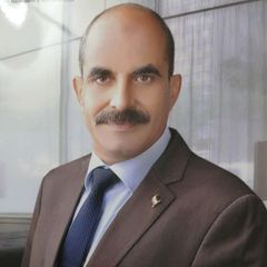 Mohamed Shehata, business development executive