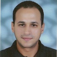 Hatem Hassan Sabry abdel-moatey, technical manager