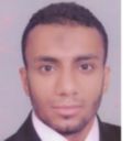 mahmoud roshdy, Senior System Engineer