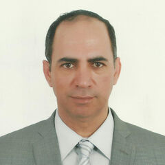 عمرو حسين, Projects Manager