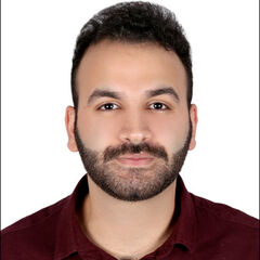 Mohamed Shokry, Sales Associate