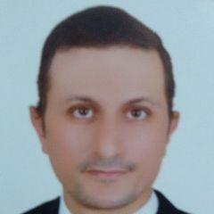 Mahmoud Makkawy, محاسب