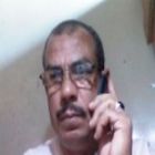 الشافعي احمد علي عامر, finance manger