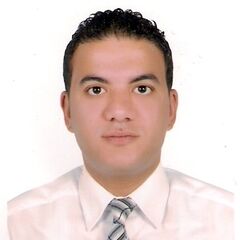 Ismail Elbanna, Sales Supervisor