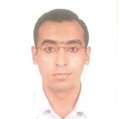 Amr El-Sayed, Property Consultant & Legal Translator