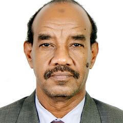 Hassan Adam