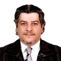 محمد حسام الصعيدي, مدير تنفيذي