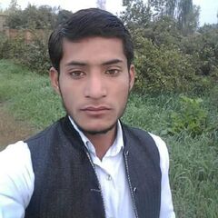 M Awais