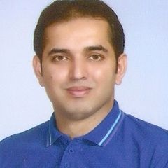 Muhammad Hafeez Abbasi, Team Lead (Solar)
