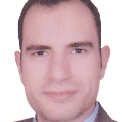 Mohamed Safwat, Feasibility Studies Specialist