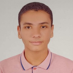 Abdelrahman Hany, 