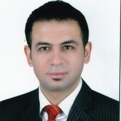 Mina Mounir Rizk Ibrahim Girges, Sales/Marketing Executive