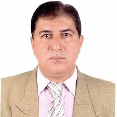 Mirza Touqeer Abbas PMI - PMP ®, Senior Architect