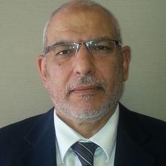 ابراهيم شلقامي عبدالحميد السيد, مدير مراجعة