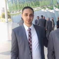 محمد ابراهيم ابوالمعاطي, SAP MM Support