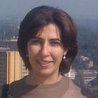 Cherine Khallaf, Lecturer - Graduate School of Business and the International Programme of the College of Management 