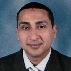 Waleed Abdel Aleem Abdel Ghafar Gaber, Branch Manager