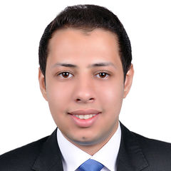 Khaled Selim, Medical Sales Representative