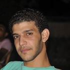 mohamed alaa el din mohamed elhady