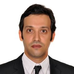 aymen jouini, MAXIMO consultant