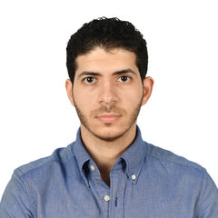 أحمد محسن, Assistant Section Engineer (Structural)