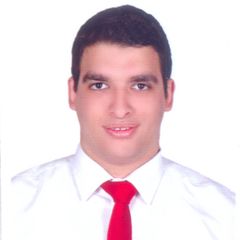 mostafa nasser, Electrical Project Manager